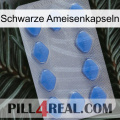 Black Ant Capsules 21